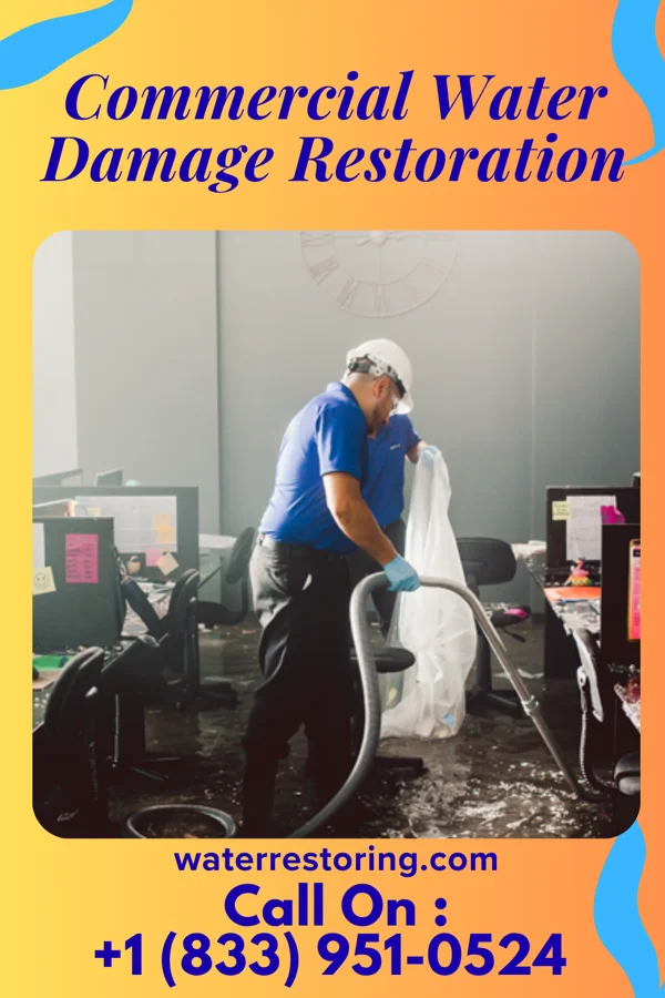 Commercial Water Damage Restoration in Albany, IL