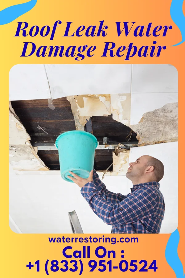 Roof Leak Water Damage Repair in Albany, IL
